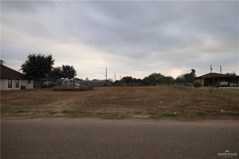 Land in Sullivan City, TX