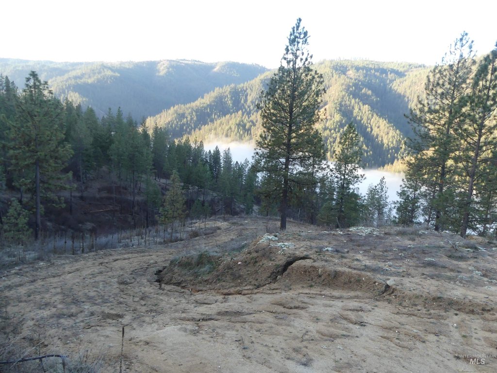Picture 14