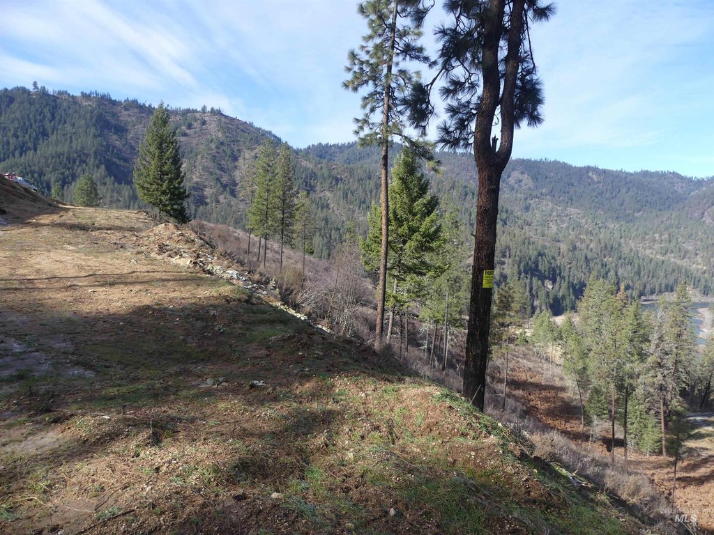 Picture 30