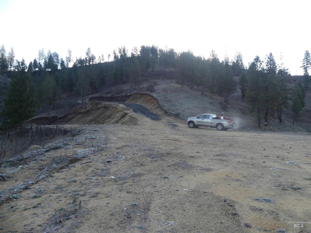 Picture 12
