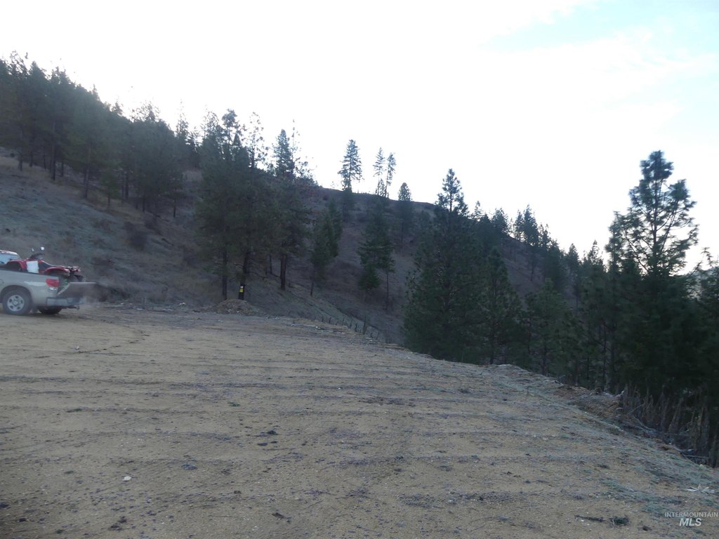 Picture 11