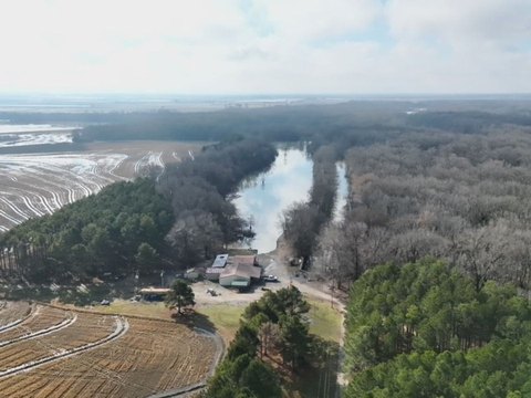Waterfowl Hunting and Cropland Tract