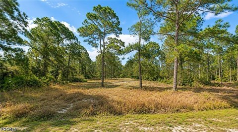 Land, Alva, FL