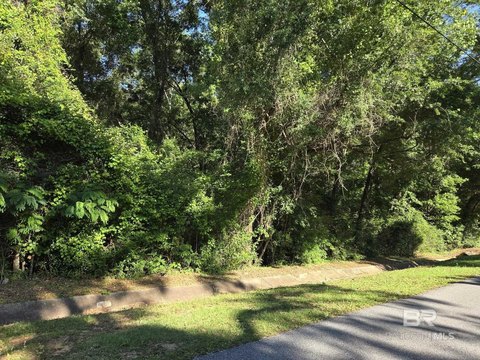 Single-Family Residential Lot