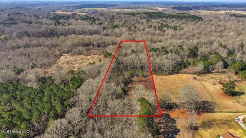 Pelahatchie Land For Sale