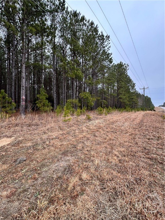 Land in Lexington, Georgia