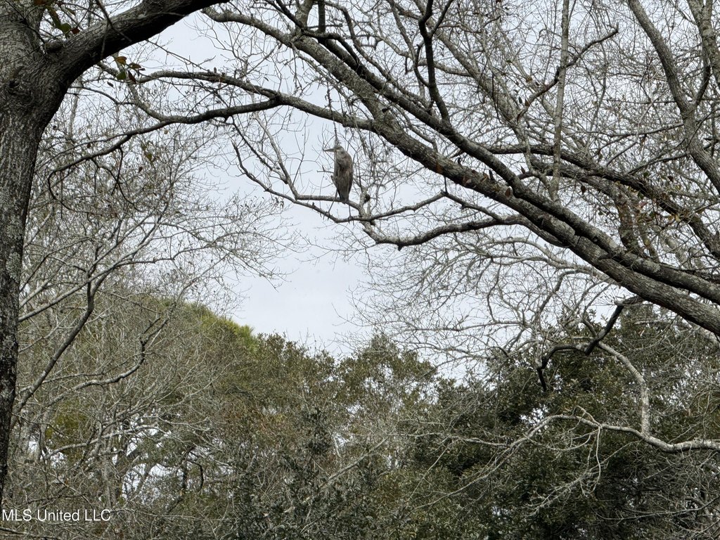 Picture 39