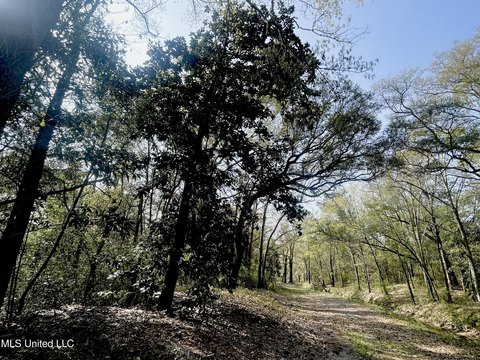 LAND - Pascagoula, MS