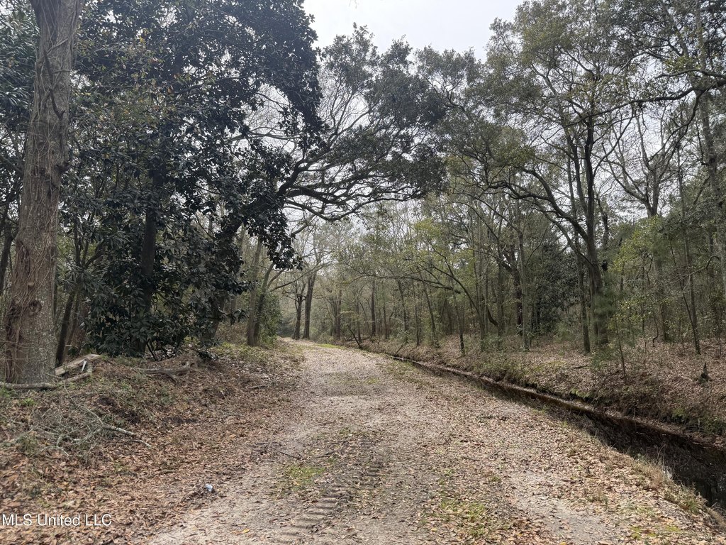 Picture 45