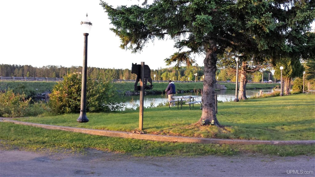 Picture 15
