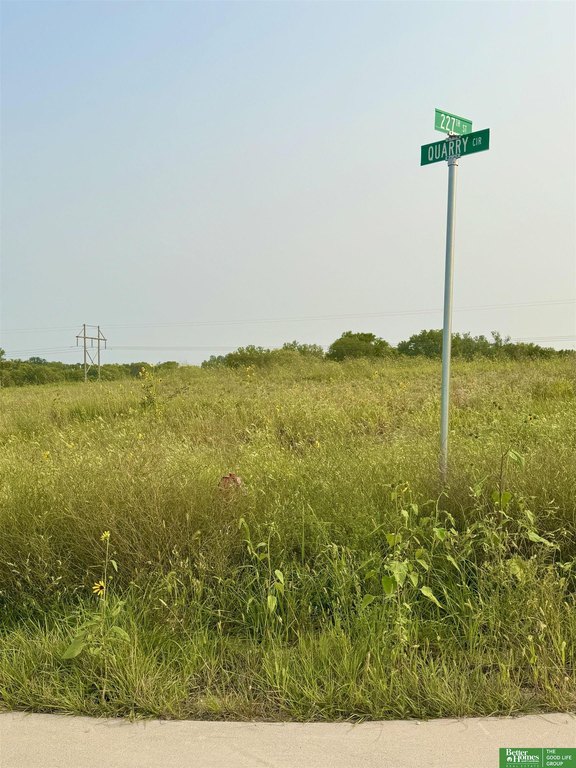 Picture 13