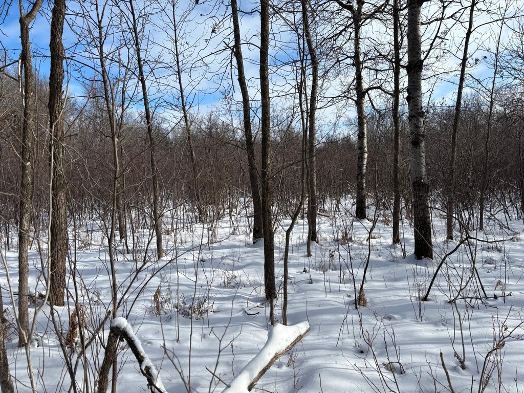 Picture 11