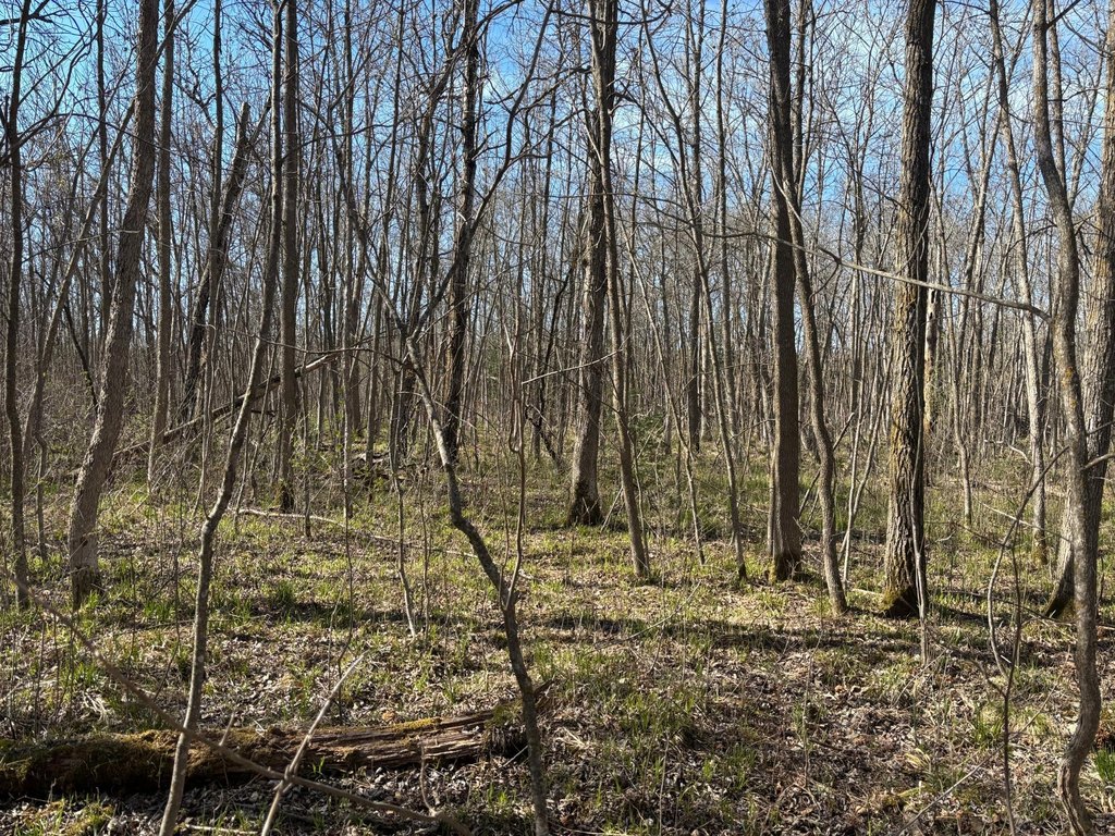 Picture 22