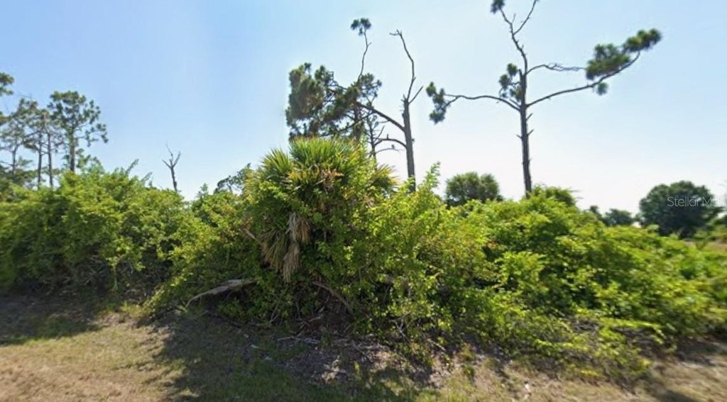Picture 3