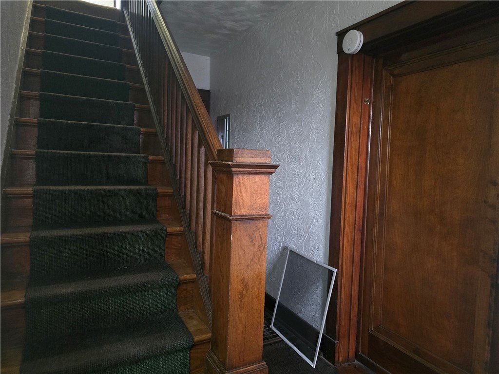 Picture 41