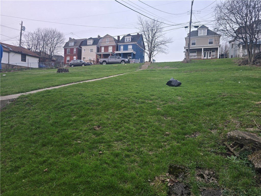 Picture 42