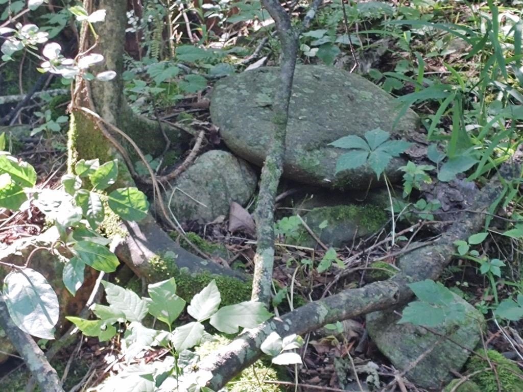 Picture 2
