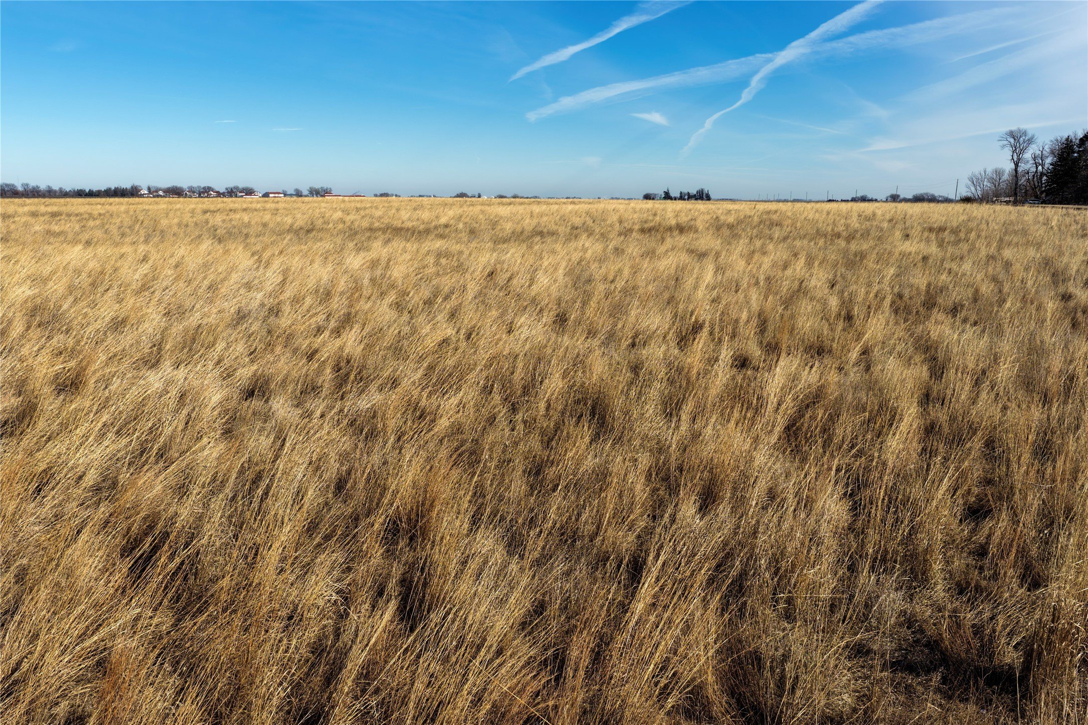Iowa Farmland with CRP Contracts