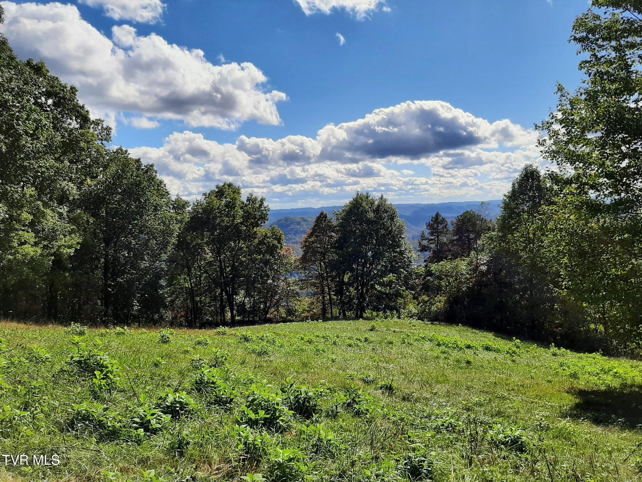 Partially Cleared Duffield Land