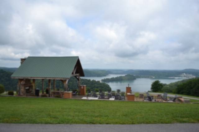 Picture 11
