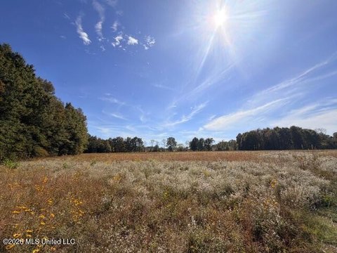 Land, Morton, MS