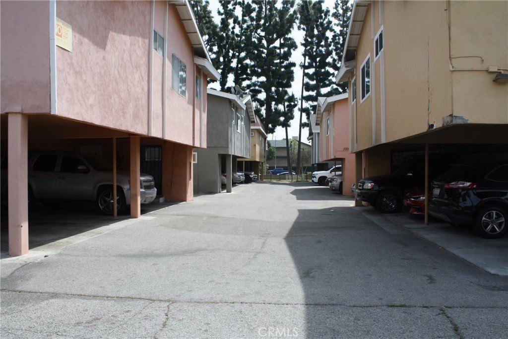 Picture 8