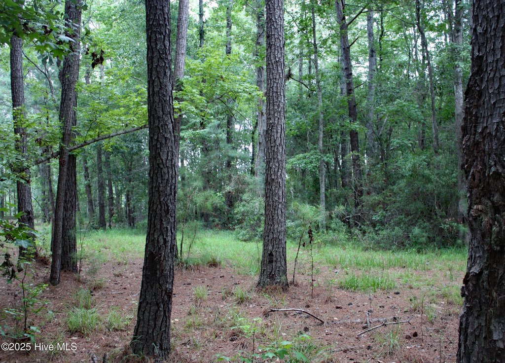 Picture 4