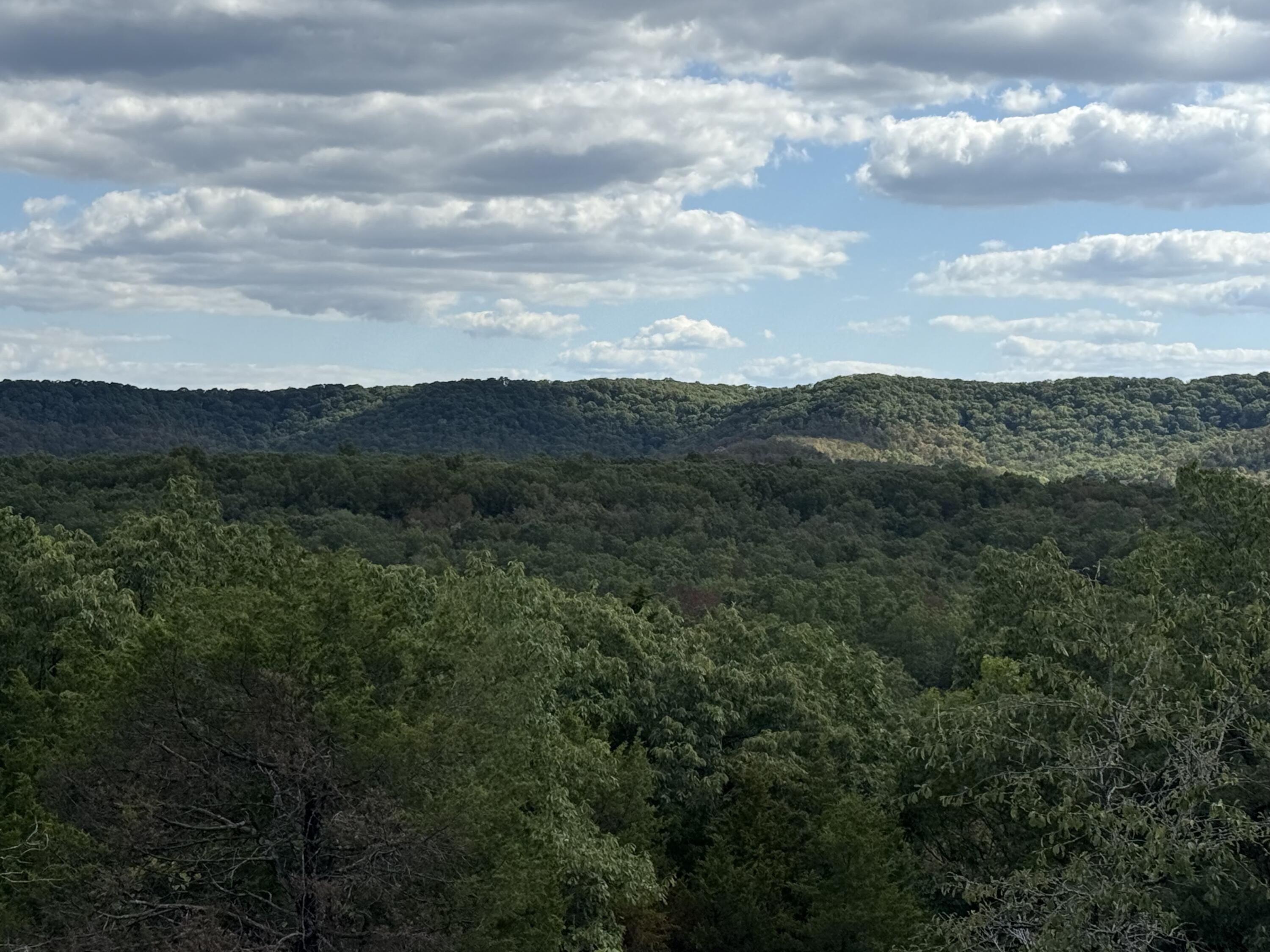 Wooded Land Near Forest Service