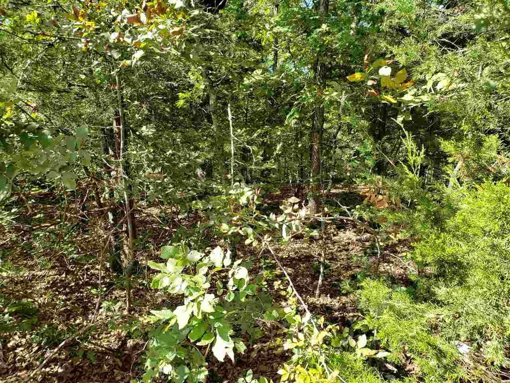 Picture 9