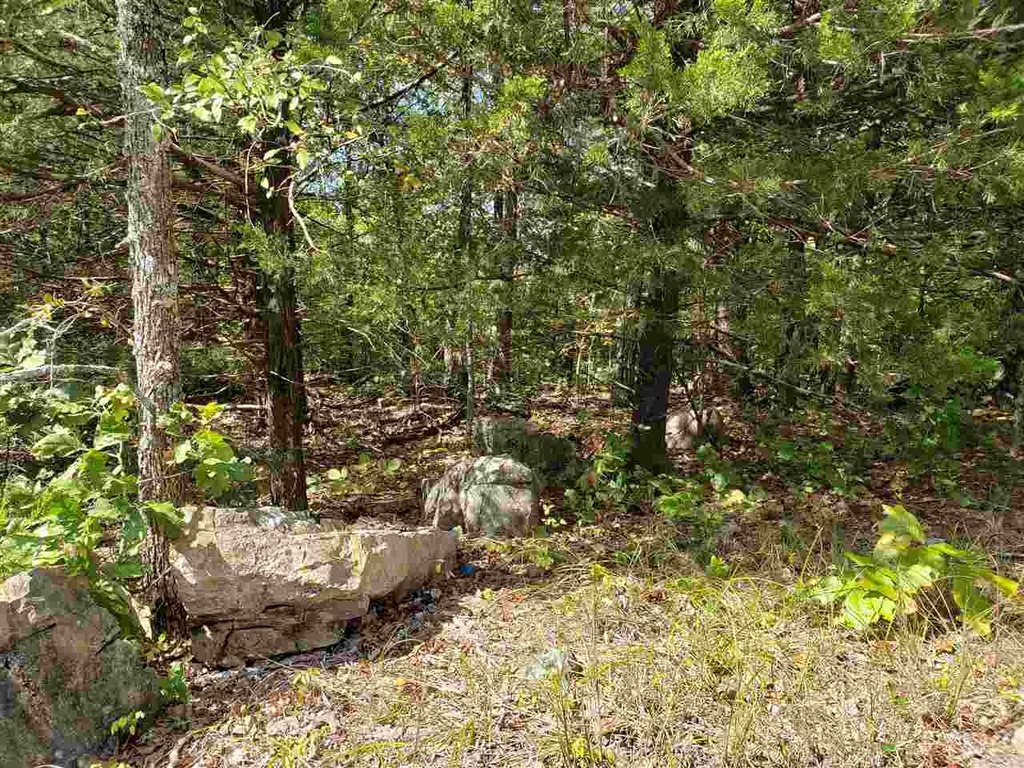 Picture 11