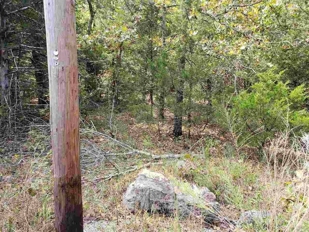 Picture 12