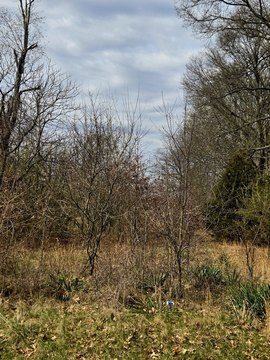 Land, Kankakee, IL