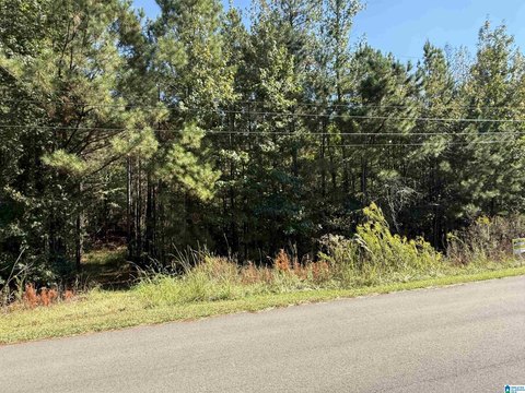 Odenville Acreage: Build Your Dream
