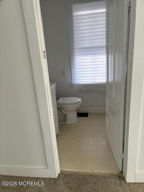 Picture 8