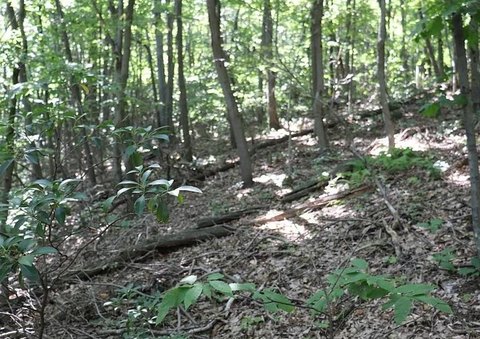 Claysburg, PA Building Lot