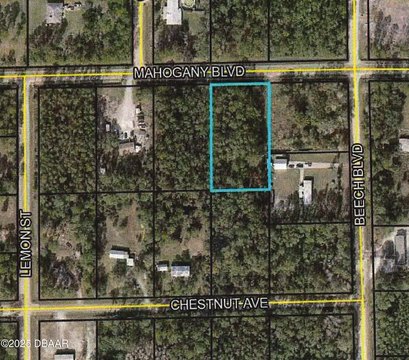 Residential Land in Bunnell, Florida
