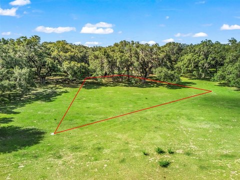 Land - BUSHNELL, FL