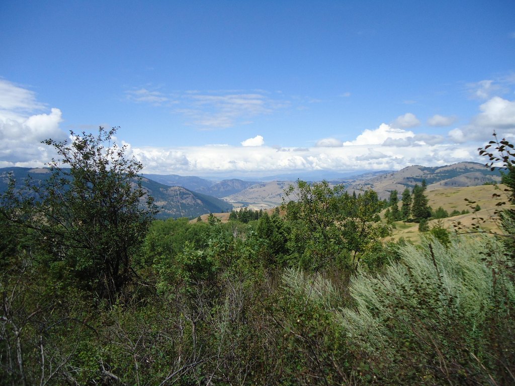 Picture 8