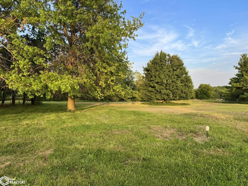 Picture 13