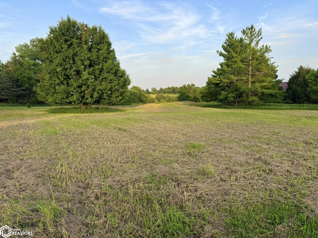 Picture 11