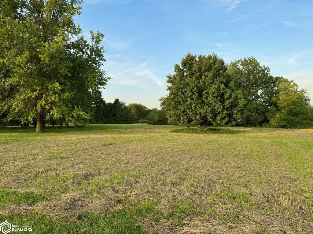 Picture 10