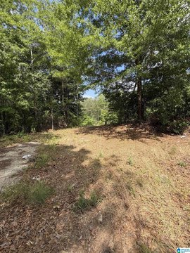 LAND - PRATTVILLE, AL