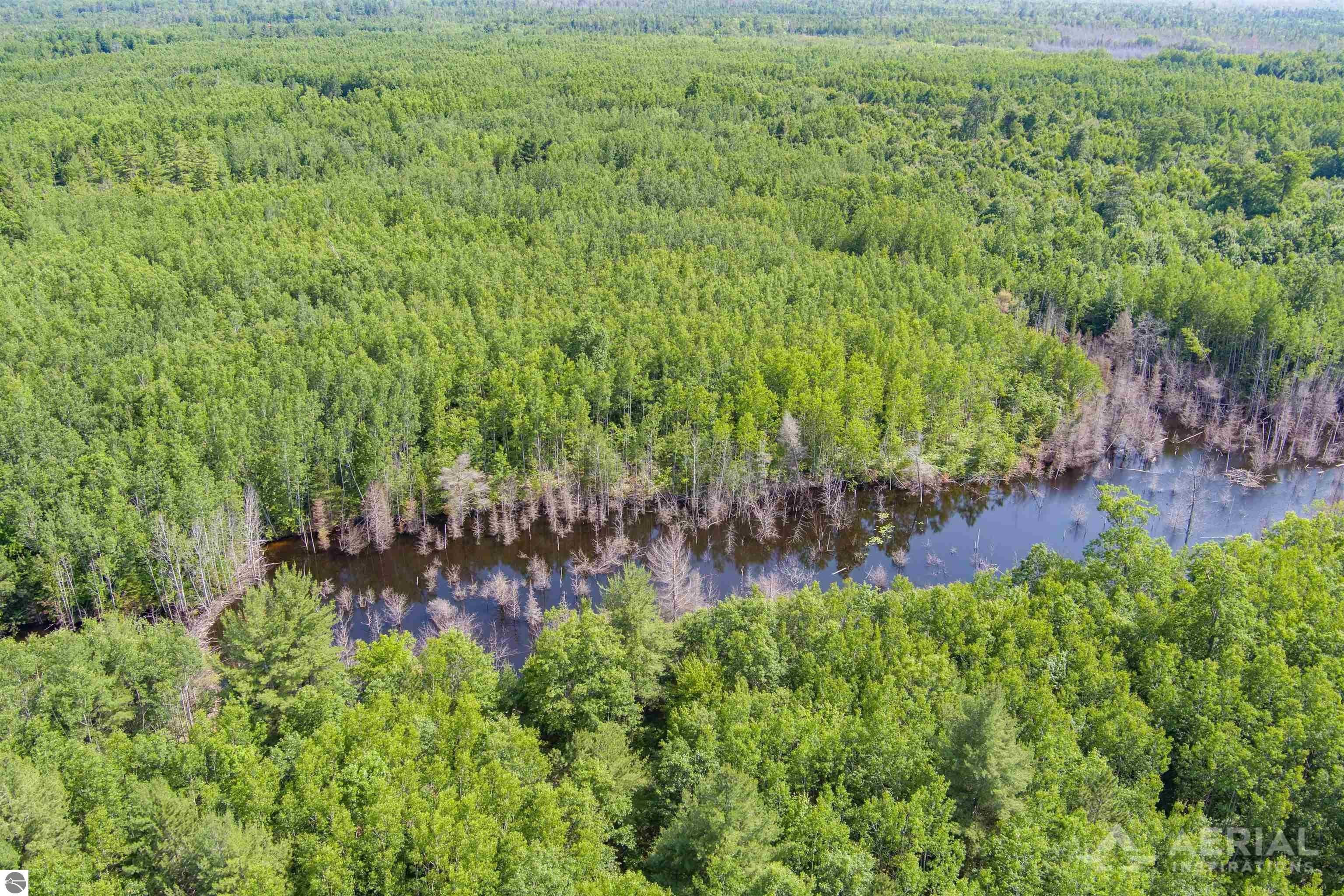 Rogers City Vacant Land