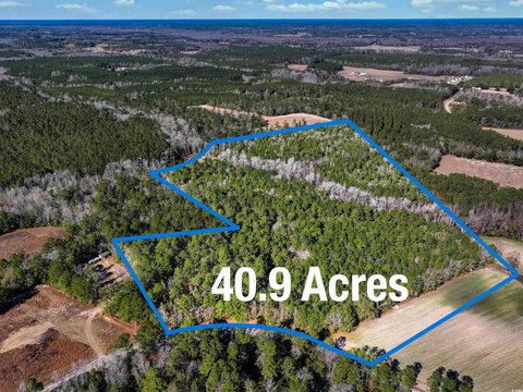 40-Acre Farm in Loris, SC