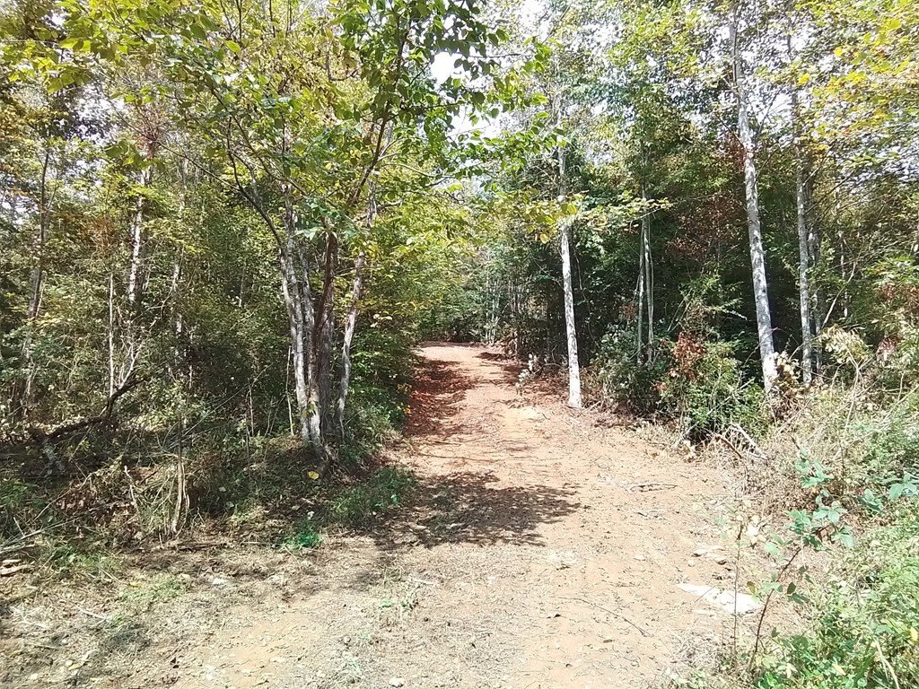 Picture 22
