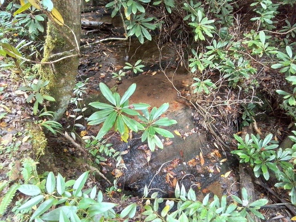 Picture 24