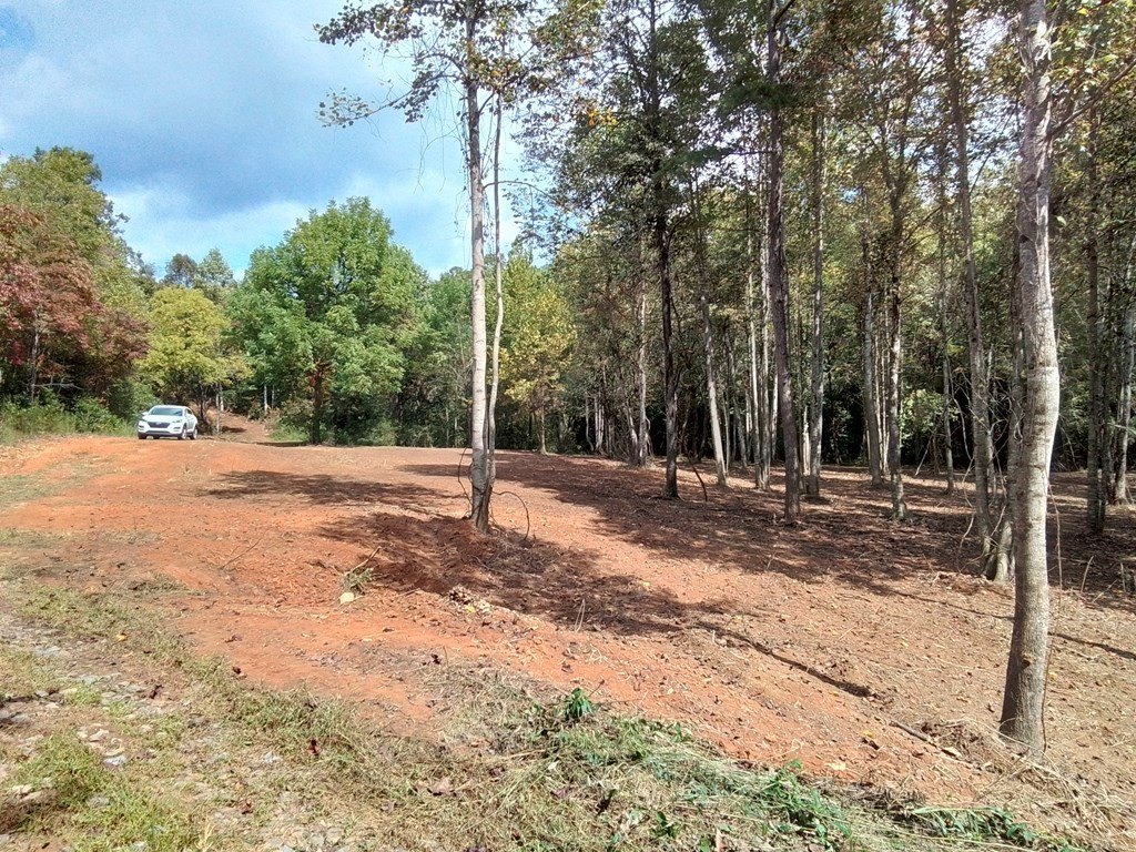 Picture 27