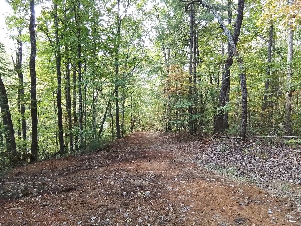 Picture 17