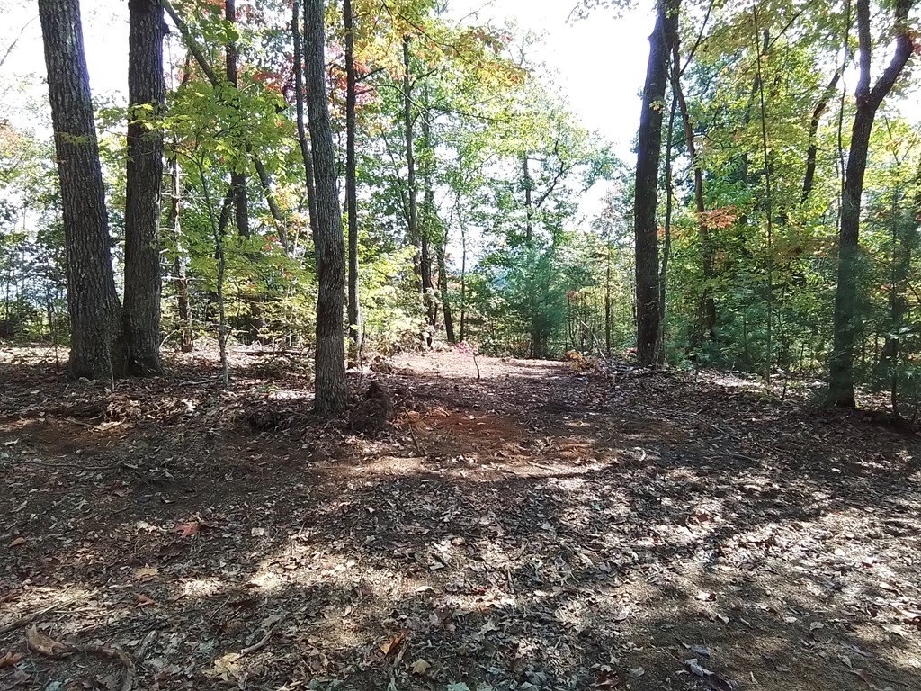 Picture 13