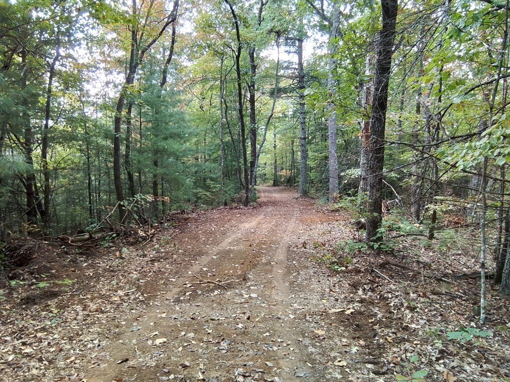 Picture 18